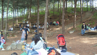 용인 농촌 테마파크 사진