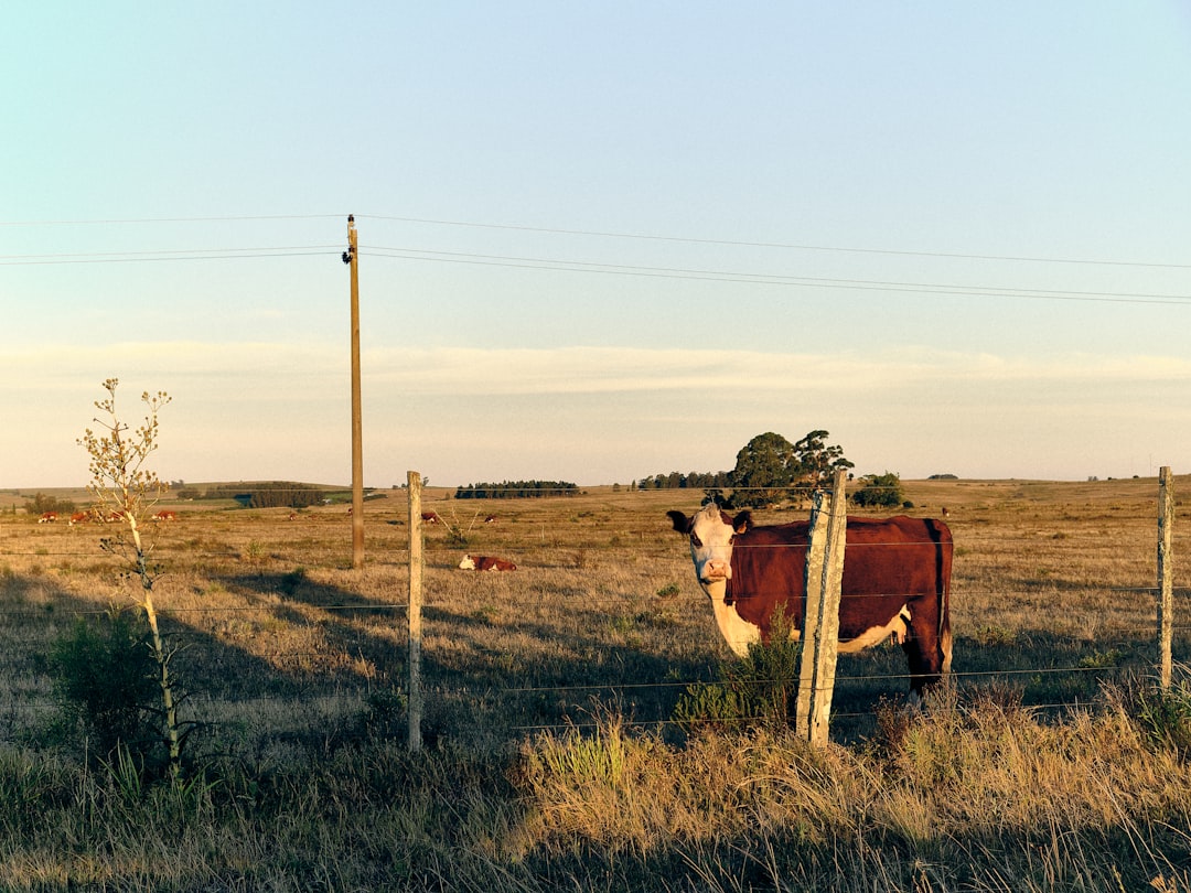 Land use.