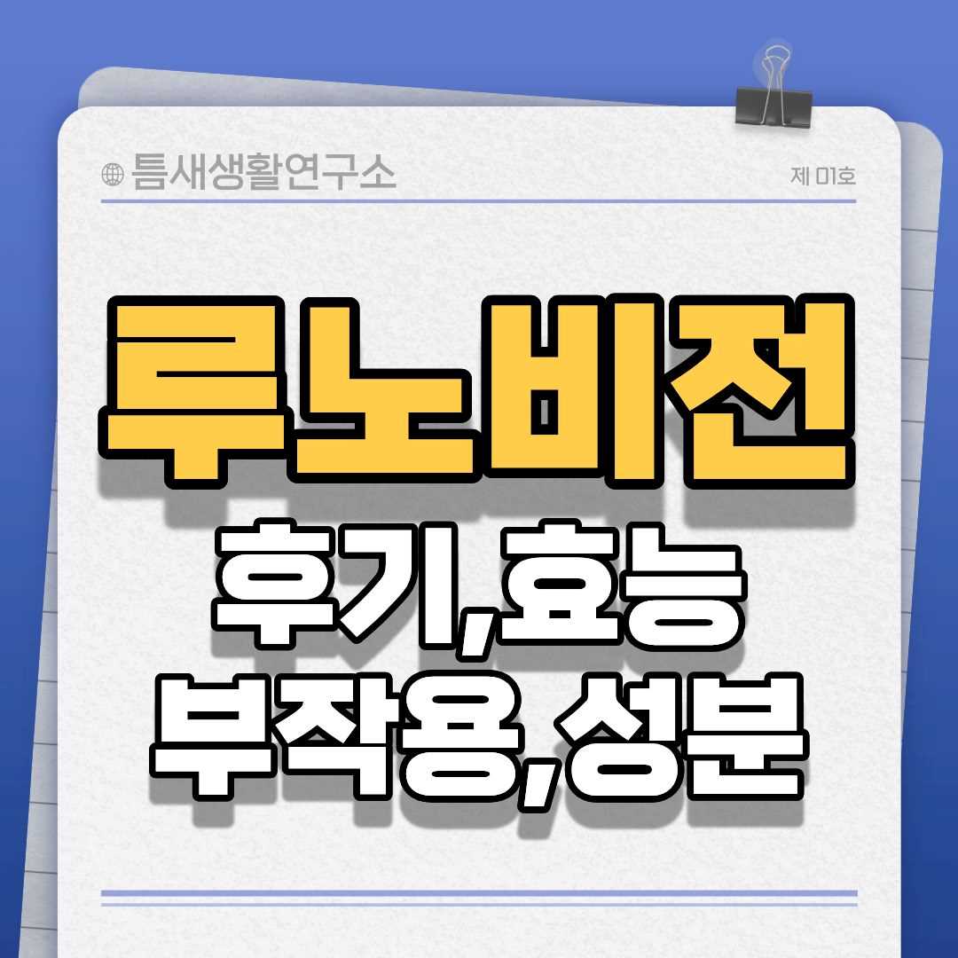 루노비전-썸네일