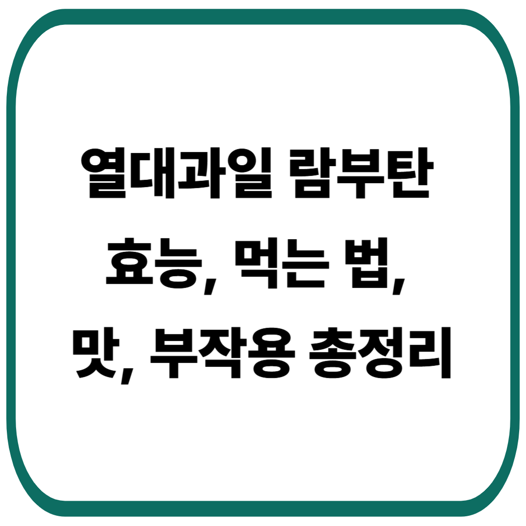 열대과일 람부탄 효능
