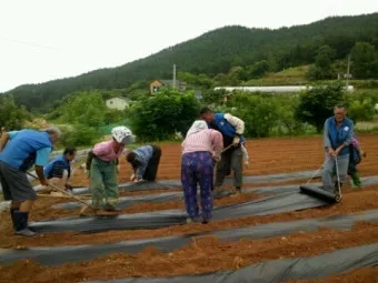마을 공동작업 참여 품앗이 공동구매 장비공유 일정 관리_19