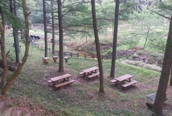 청송자연휴양림