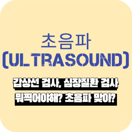 갑상선 검사&#44; 심장질환 검사 뭐찍어야해? 초음파 맞아?