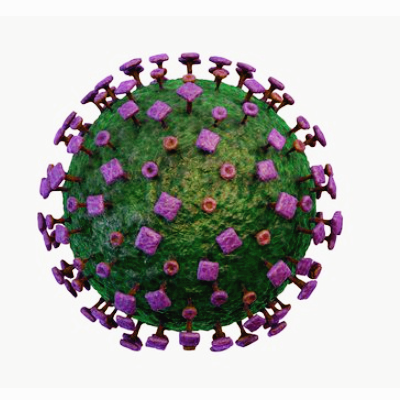 니파 바이러스 관련주 대장주 테마주 수혜주 TOP5