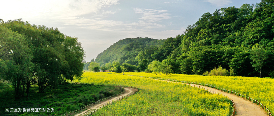 팔현생태공원 홈페이지