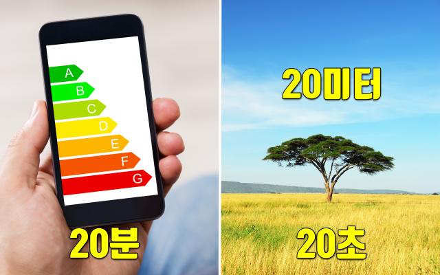 눈건조증 치료 관리 202020