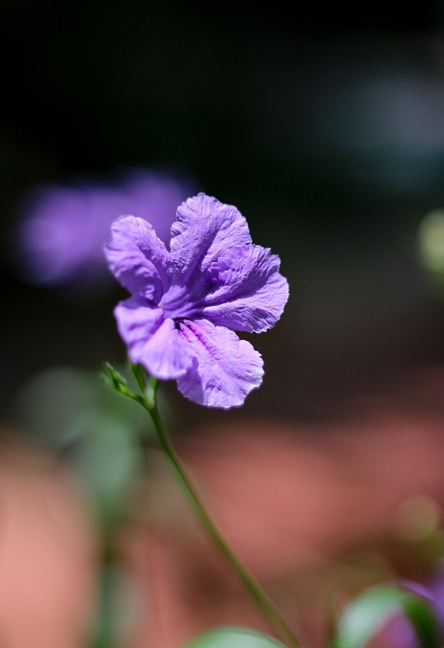 50대 중장년 재취업을 위한 핵심 지원금