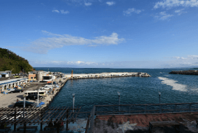 기차여행 단풍특선 추천