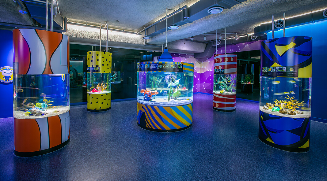 [당일치기] 코엑스 아쿠아리움 놀거리&amp;주차&amp;이벤트&amp;할인혜택