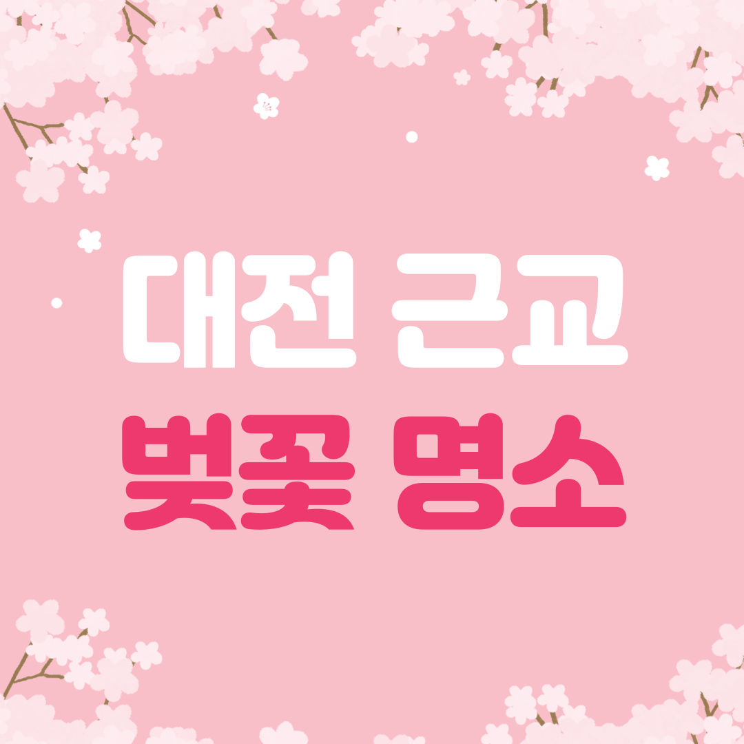 대전 근교 벚꽃 명소&#44; 벚꽃 드라이브 명소