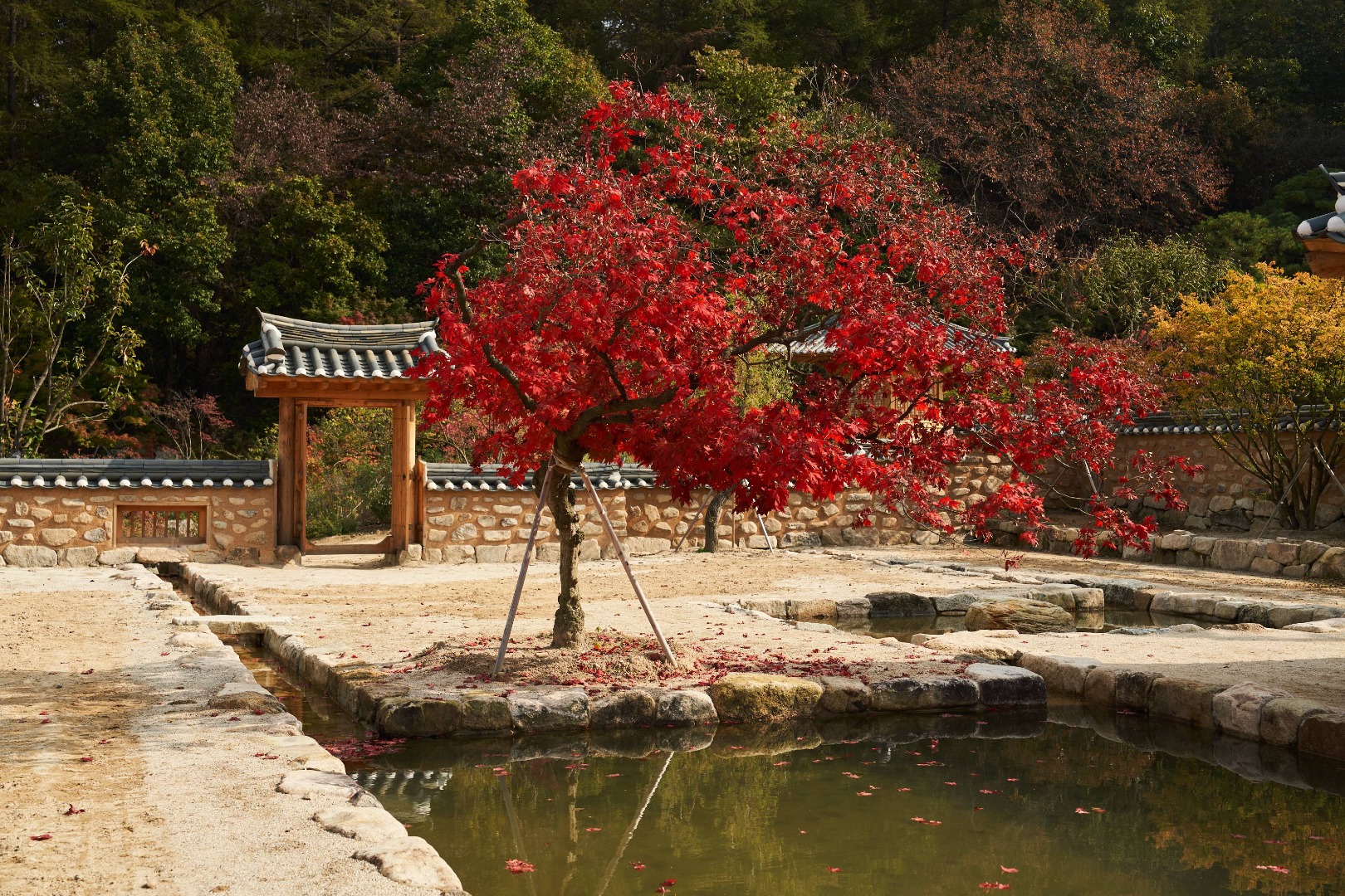 양평 메덩골정원