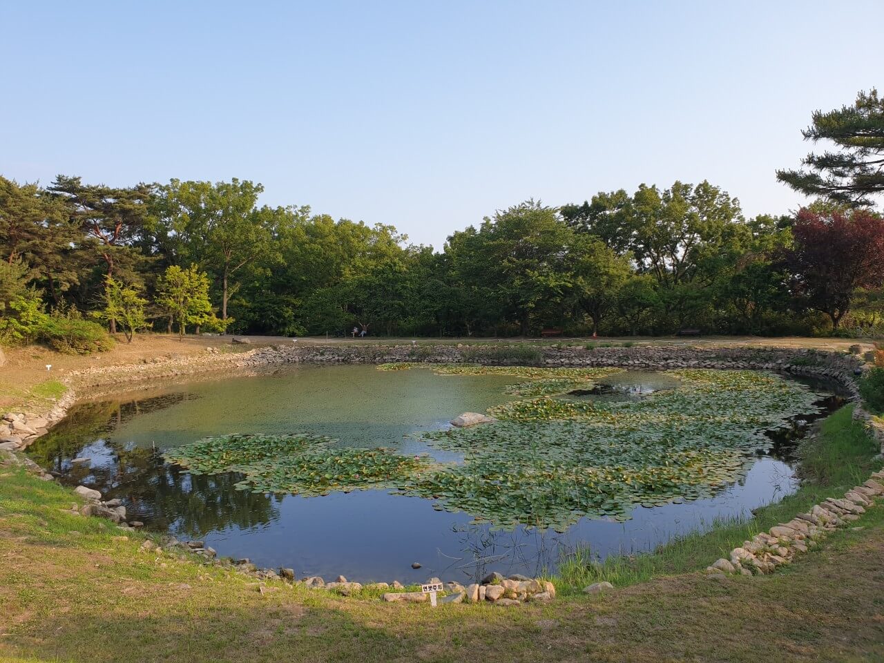 캠핑장전경1