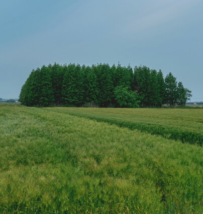 군산 가볼만한곳 베스트 10