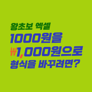 내가 원하는 대로 셀 입력값 표현하기