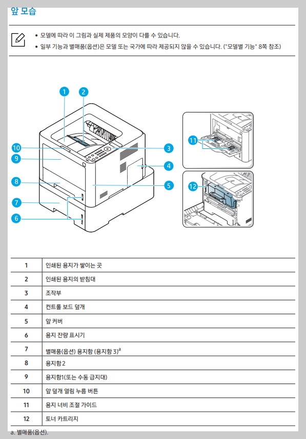앞모습