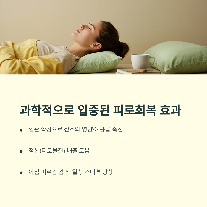 아르기닌 효능 피로회복