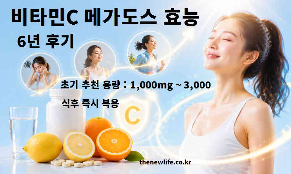 비타민C 메가도스 효능 6년 후기