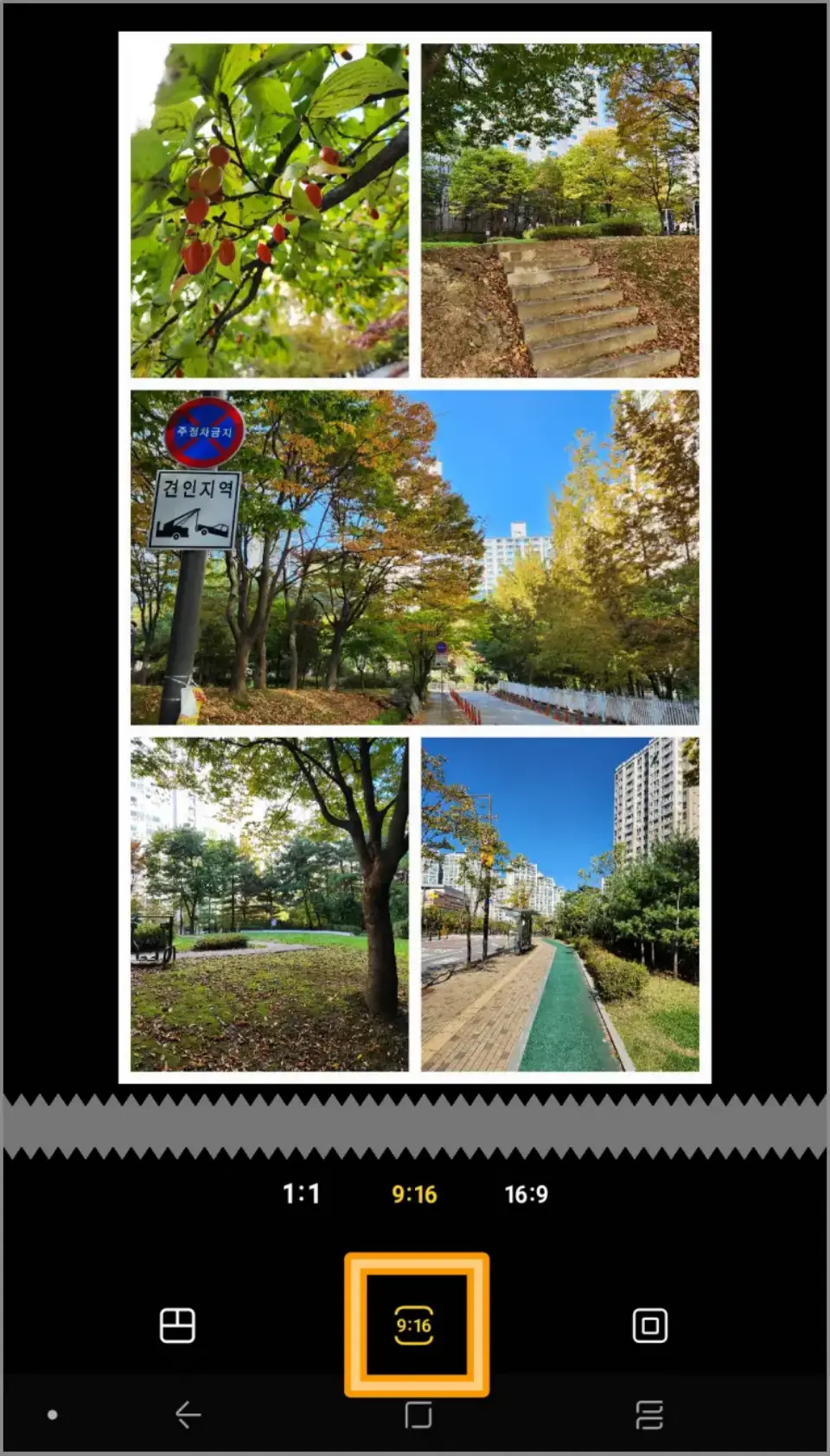 갤럭시-콜라주-모양선택