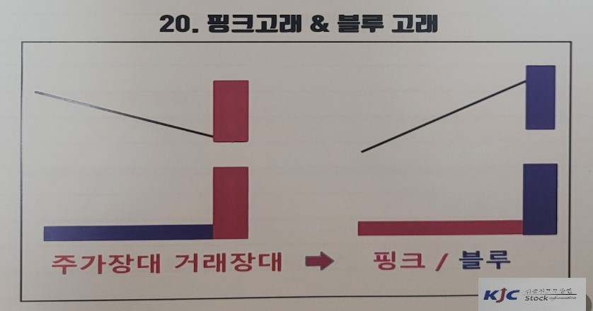 20. 핑크고래와 블루고래 개념 이해를 위한 도식화