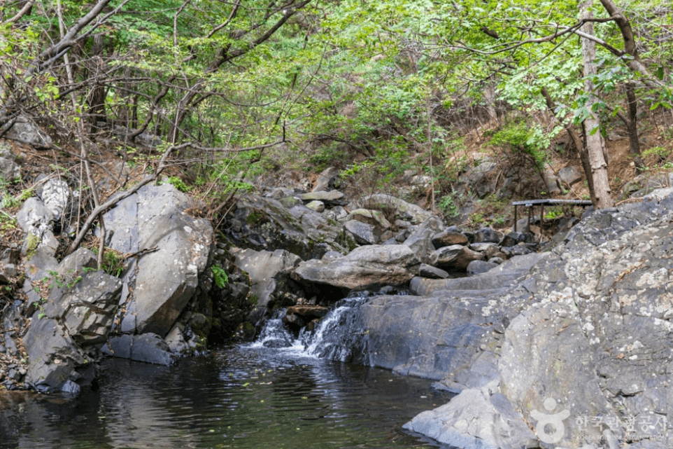 보령시 명대골계곡