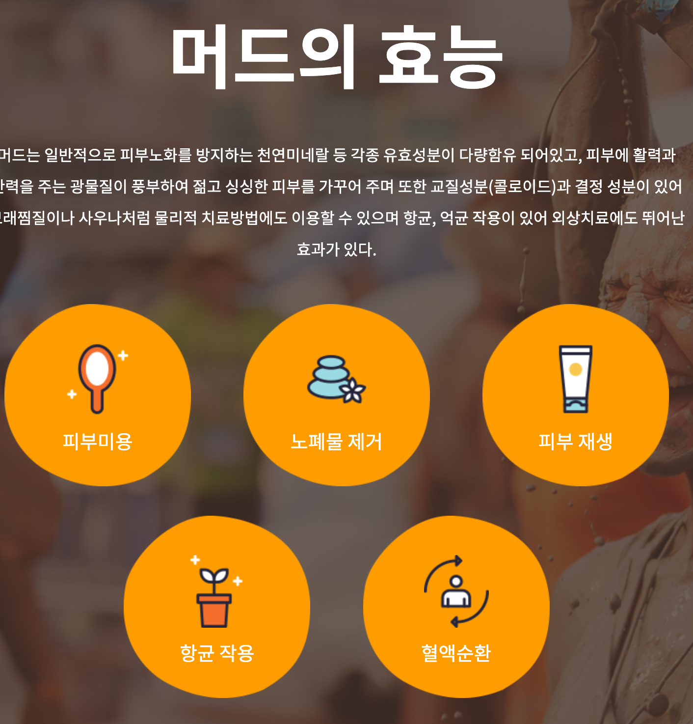 2024 보령머드축제 일정 체험 프로그램 근처 맛집 주차 정보