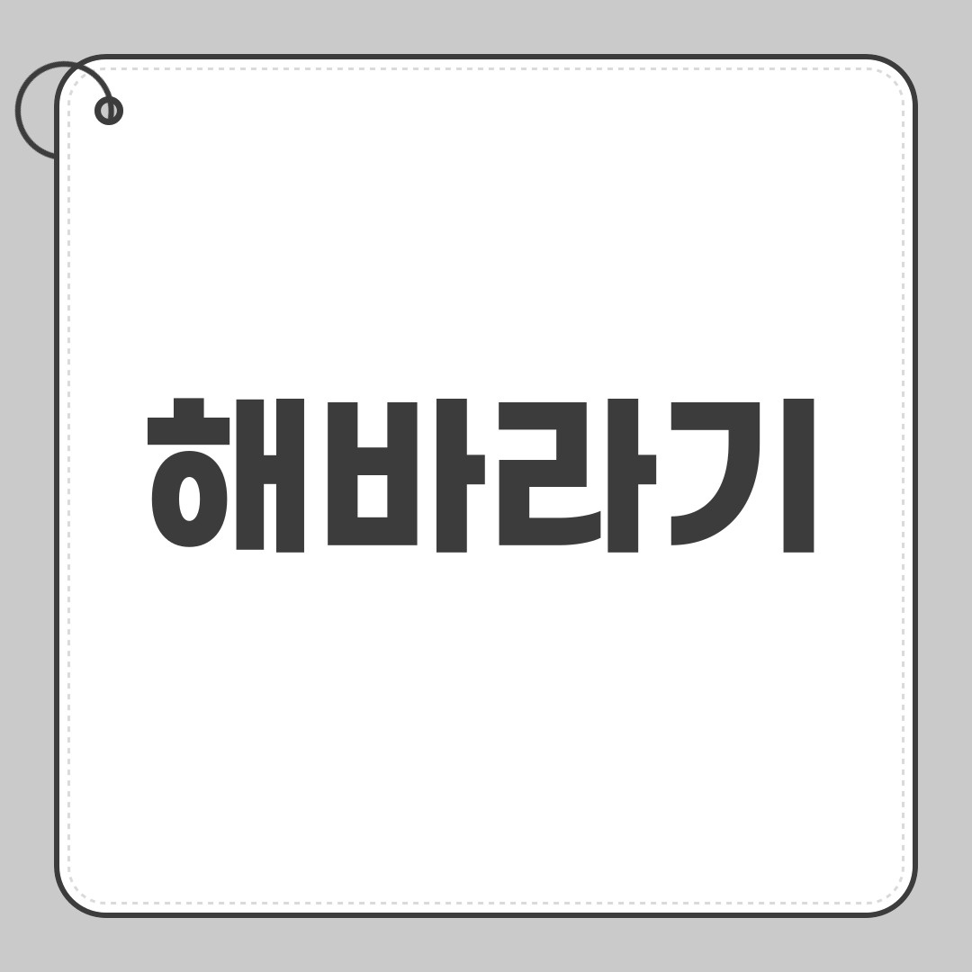 해바라기