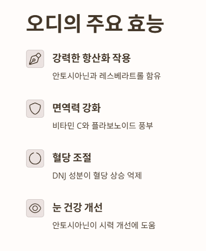 오디 효능