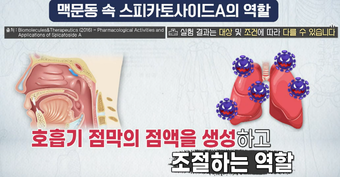 볶음 맥문동 분말 효능