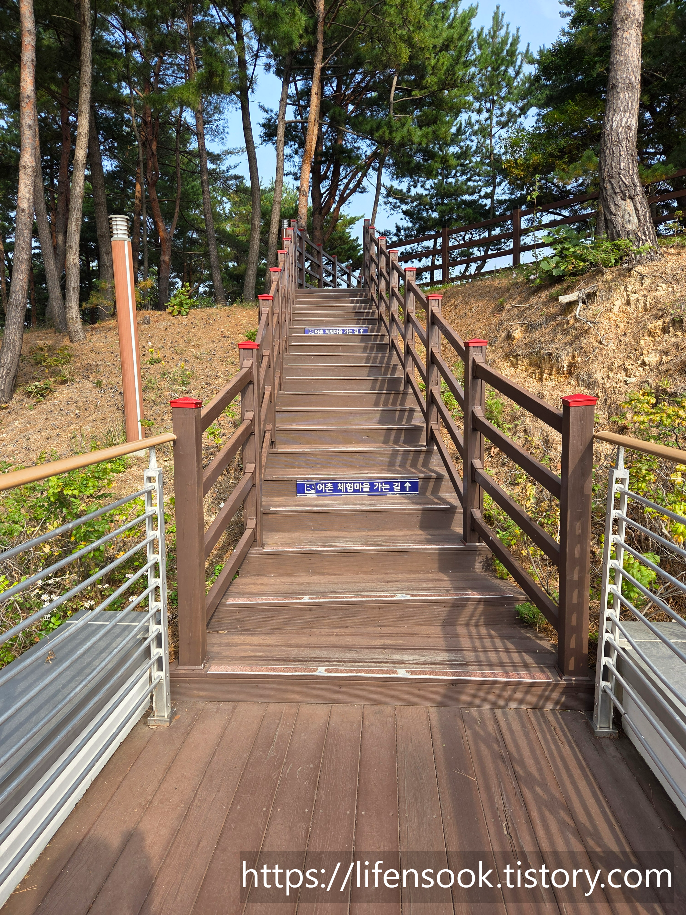삼척해상케이블카 장호역 산책로 1