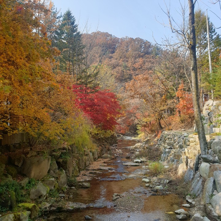 포천 아버지의숲 산정캠프 소개
