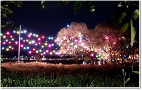 형산강 연등문화축제 연등 행사