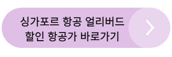 항공권 특가