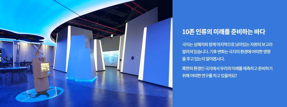 10존