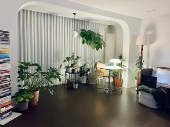 플랜테리어 거실 식물배치 물주기 습도관리 초보 인테리어 팁_11