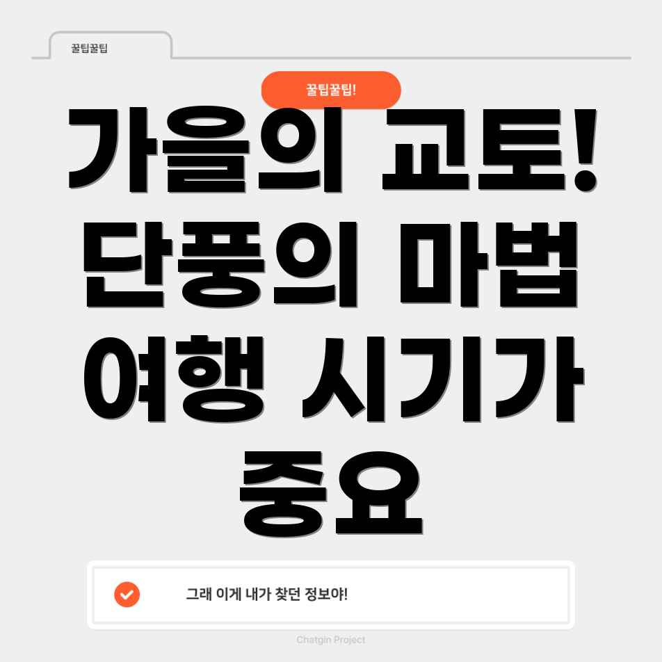일본 교토 단풍