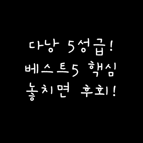 다낭 여행 최적의 숙소 추천 5성급 ..