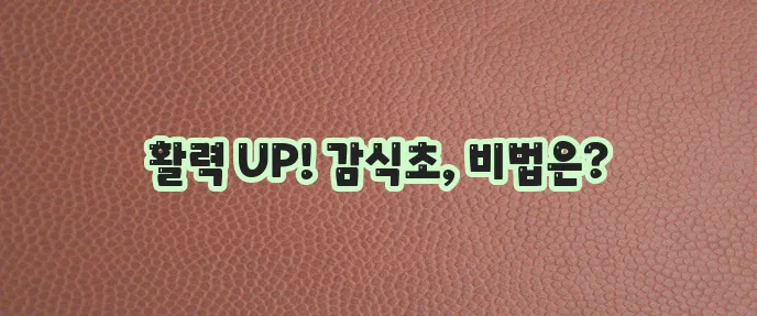 감식초 효능과 간편 레시피