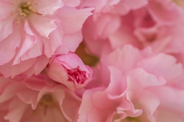 가족과 함께 하는 전통놀이 체험 추천 장소 BEST5