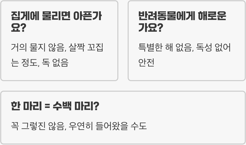 집게벌레는 해충일까 익충일까? 진딧물 잡아먹는 의외의 모습