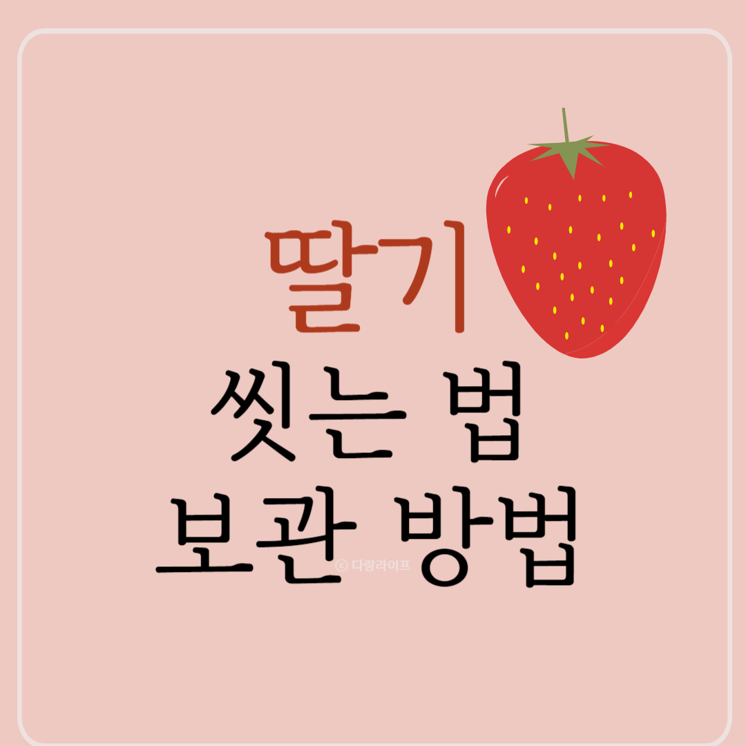 딸기 씻는법 딸기 씻는방법 딸기 보관 딸기보관방법