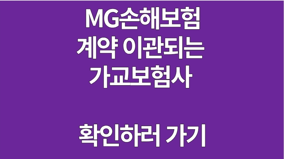 MG 손해보험 가교보험사