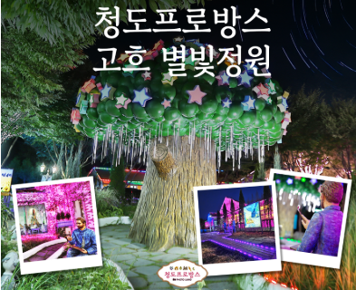 청도 프로방스 빛축제 고흐별빛정원: 조형물 + 조명