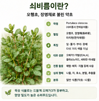 쇠비름-효능-효소-분말-추출물-효과-고르는방법-추천