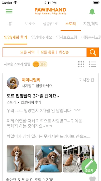 유기묘 새끼 고양이 무료 분양 어플 앱-12 유기묘 새끼 고양이 무료 분양 어플 앱-12