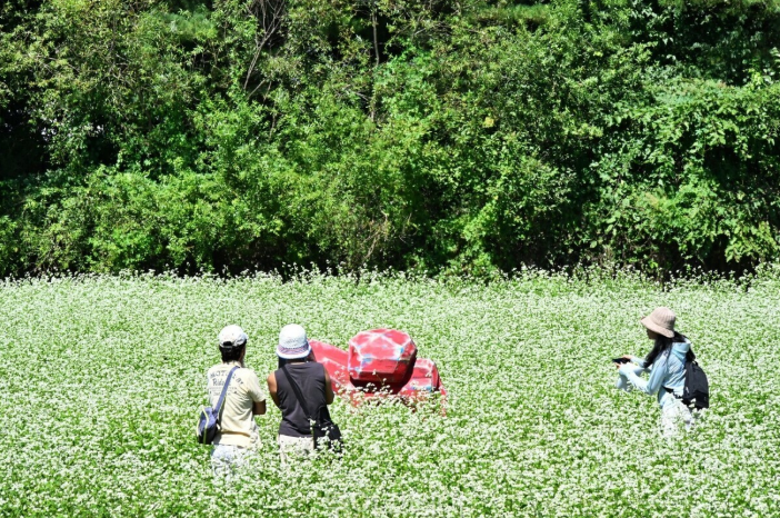 효석문화제