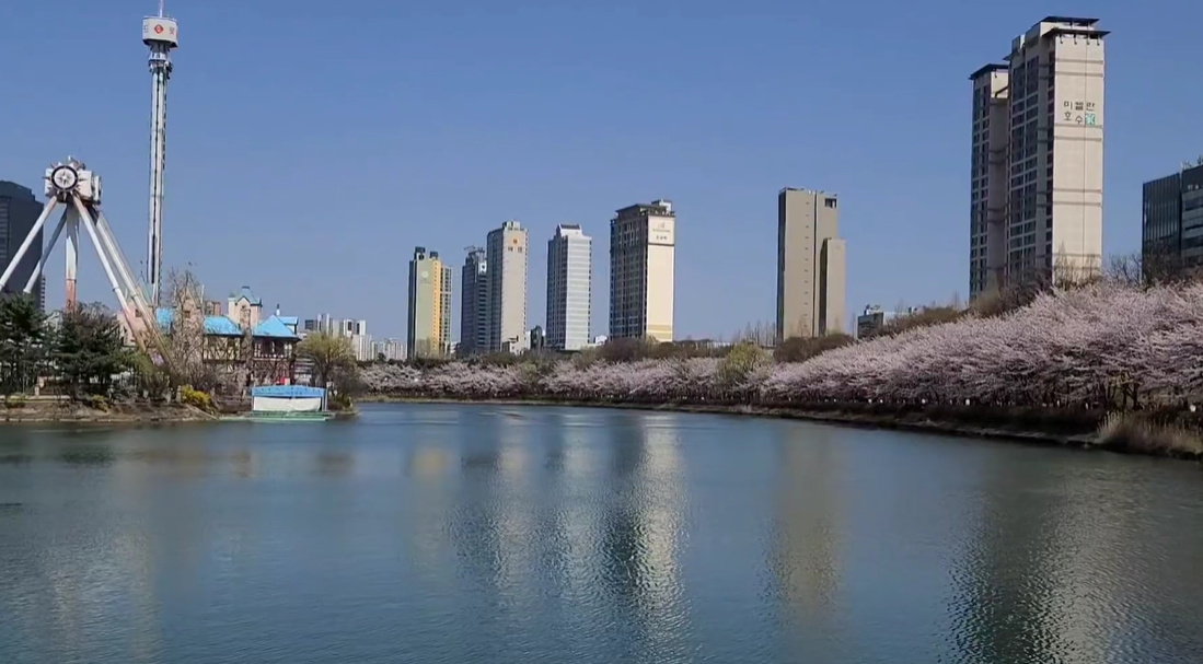 석촌호수벚꽃축제