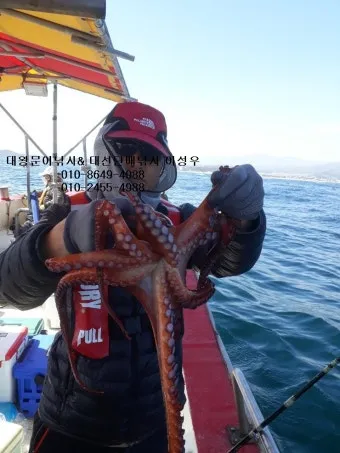 5월 동해 바다낚시 최고 추천 어종과 인기 포인트 완벽 총정리_22