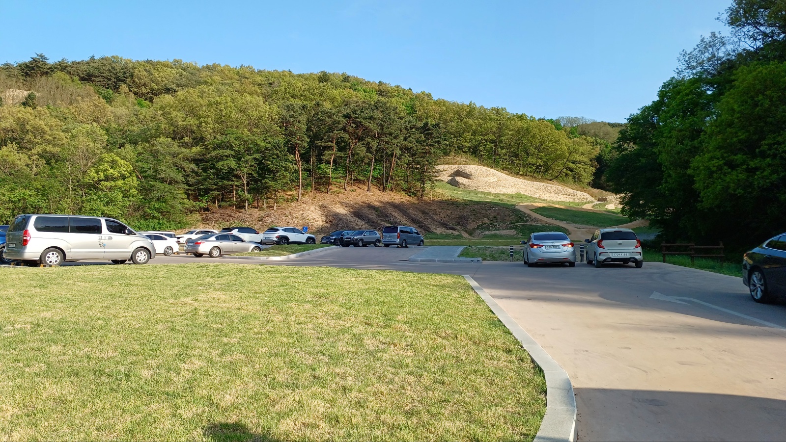 선덕여왕길 겹벚꽃 주차장