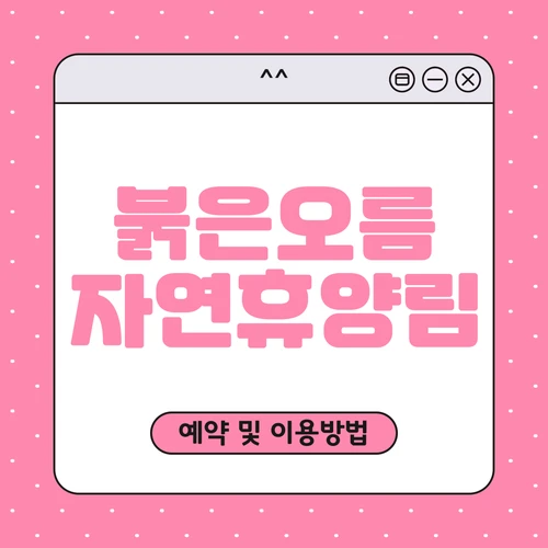 서귀포 붉은오름 자연휴양림 예약하기