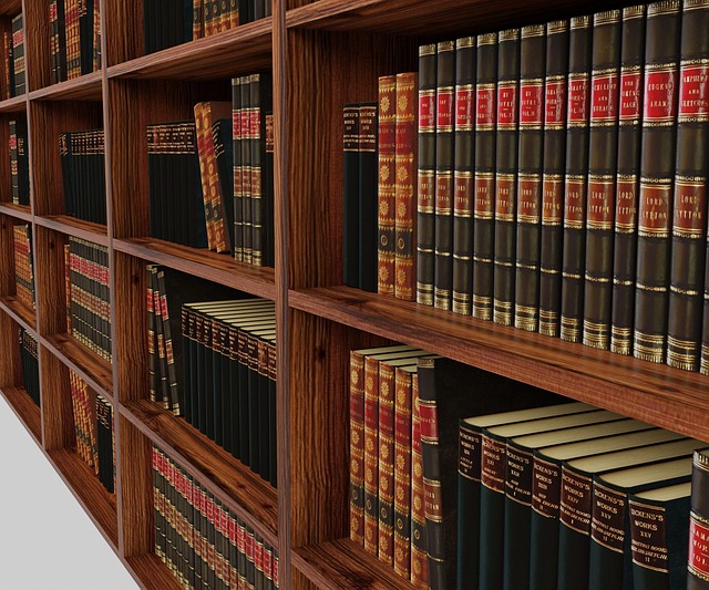 전공 적합성 관련 사진